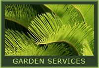 Thompson Landscapes - Cayman Islands - Garden Services